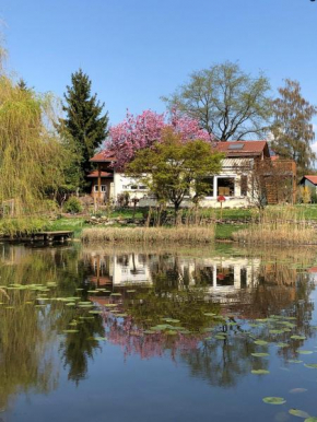 Ferienwohnung Mollenberg
